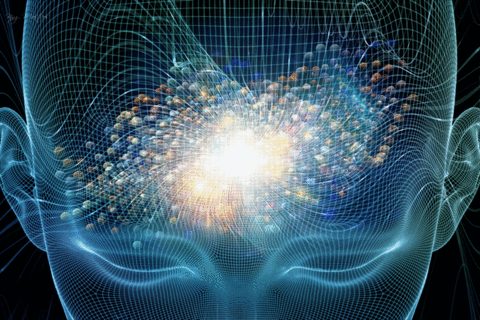 Neuroscience